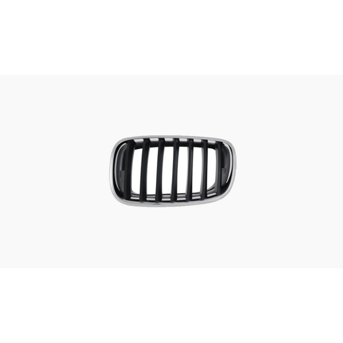 Grille voor BMW X5 / X6