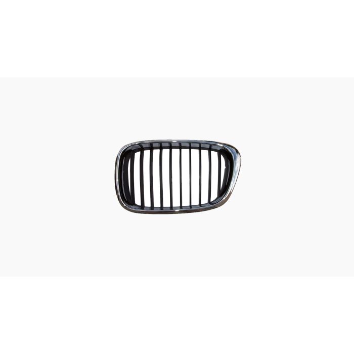 Grille voor BMW 5 SERIE 2000-2003