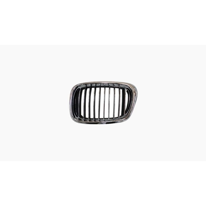 Grille voor BMW 5 SERIE 2000-2003