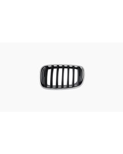 Griille voor BMW X5 / X6