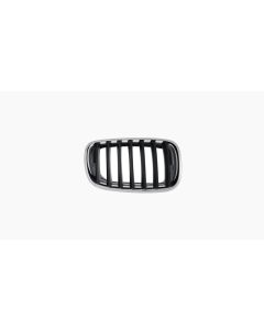 Griille voor BMW X5 / X6