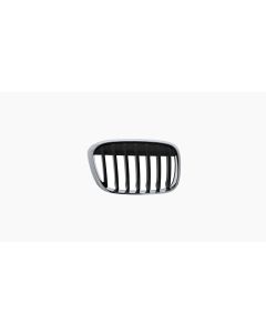 Griille voor BMW X1 F48 2015-2019