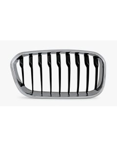 Grille voor BMW 1 SERIE F20/F21 2015-2019