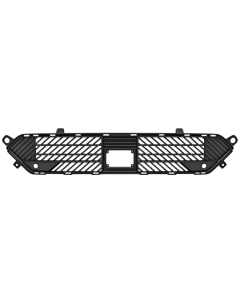 Grille voor CITROEN C-4