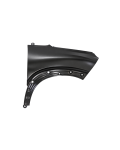 Spatbord (voorscherm) voor CITROEN C-3