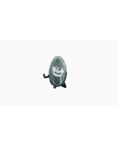 Koplamp voor Nissan MICRA