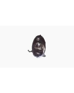 Koplamp voor Nissan MICRA