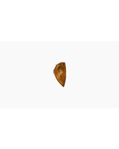 Clignoteur Compleet Oranje