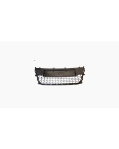 Middengrille In Voorbumper