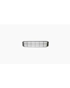 Bumpergrille