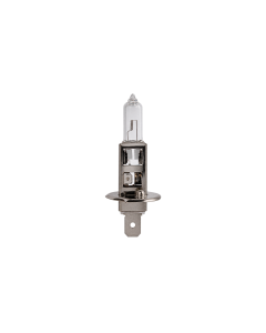 Halogeen Lamp H1 12V 55W