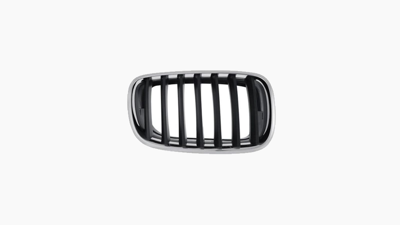 Griille voor BMW X5 / X6