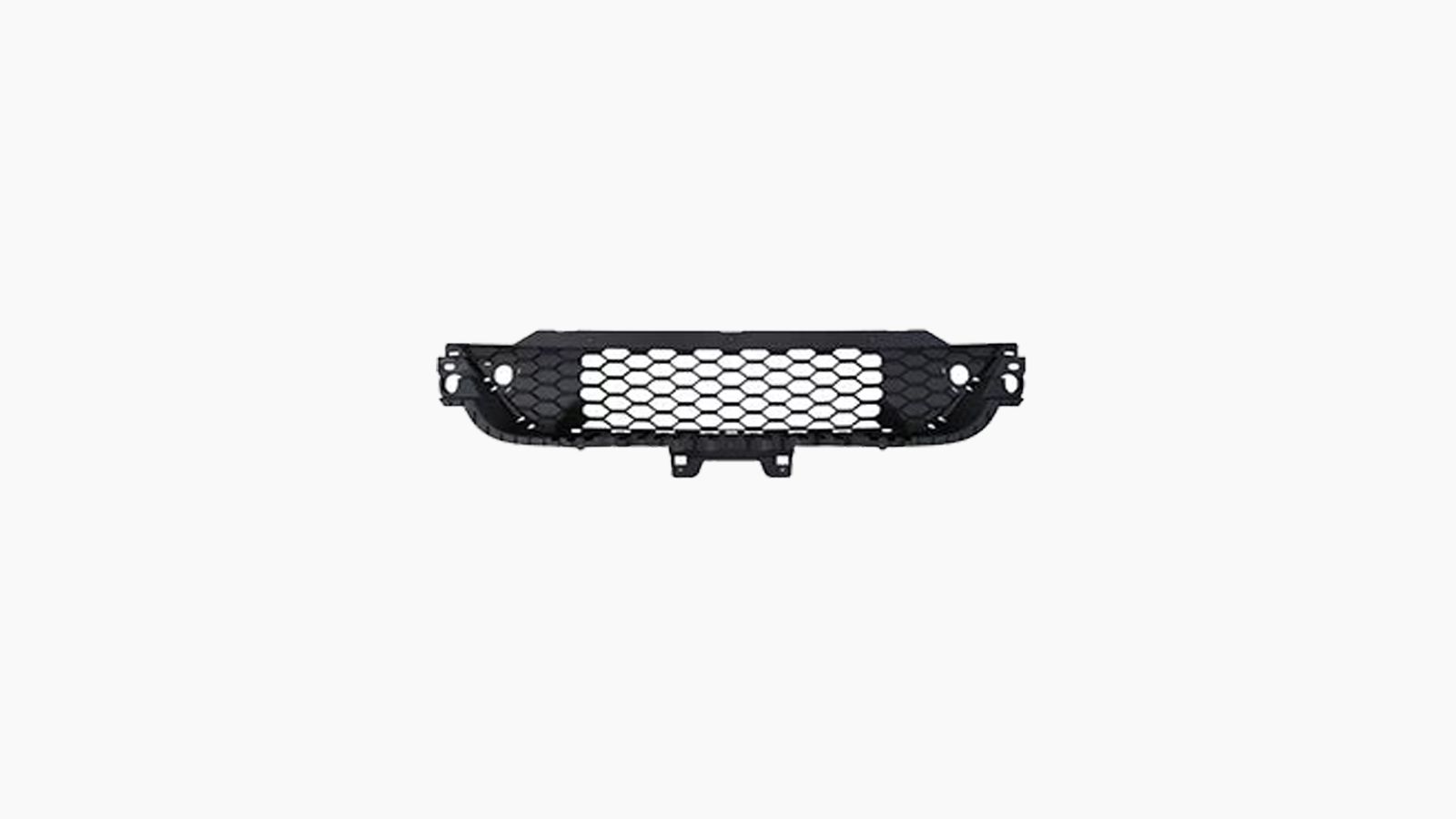 Bumpergrille