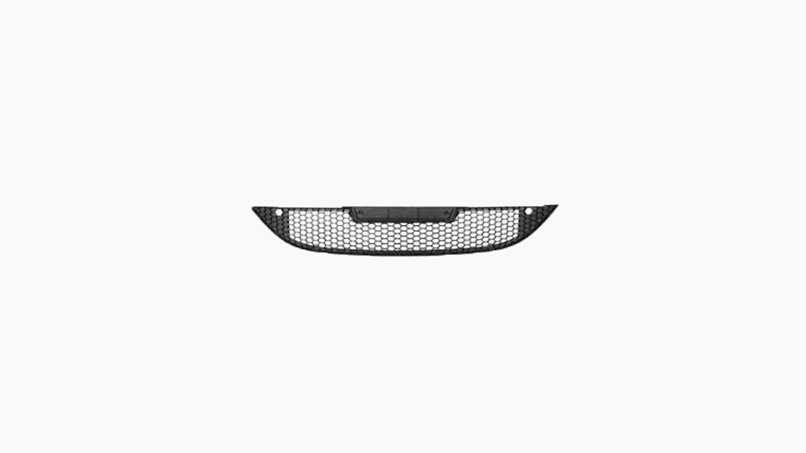 Bumpergrille