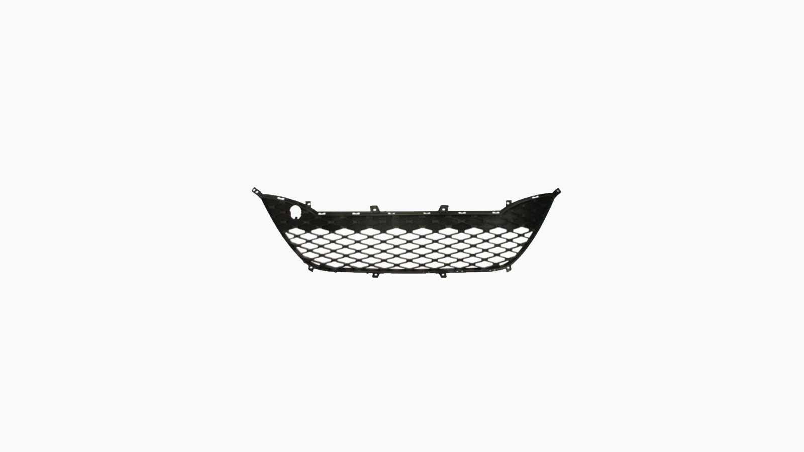 Bumpergrille