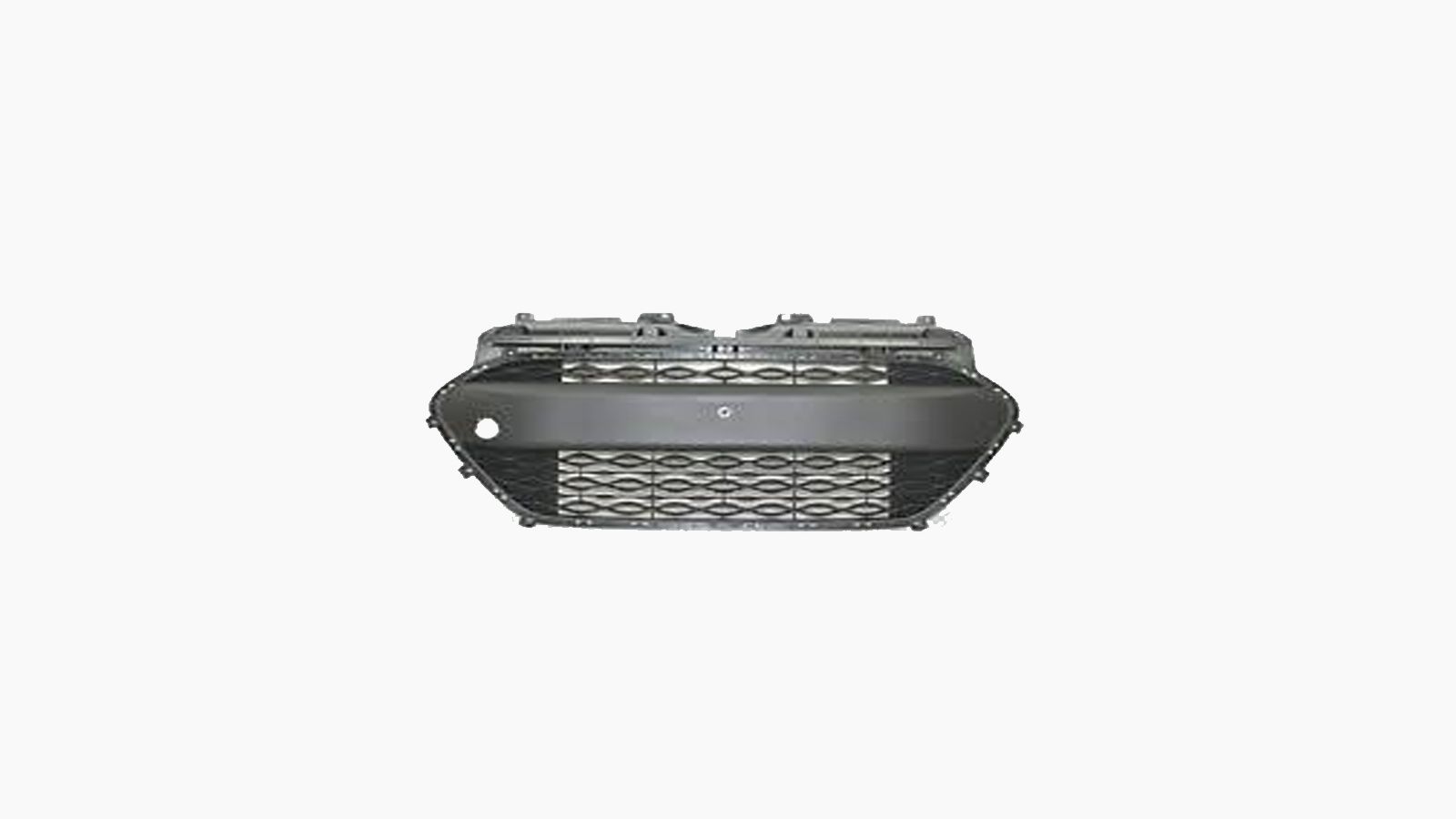 Bumpergrille