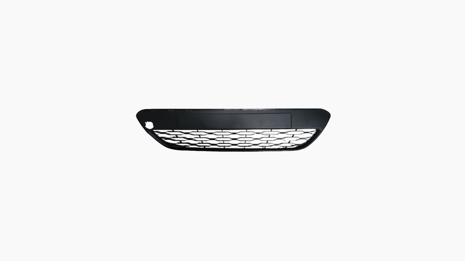 Bumpergrille