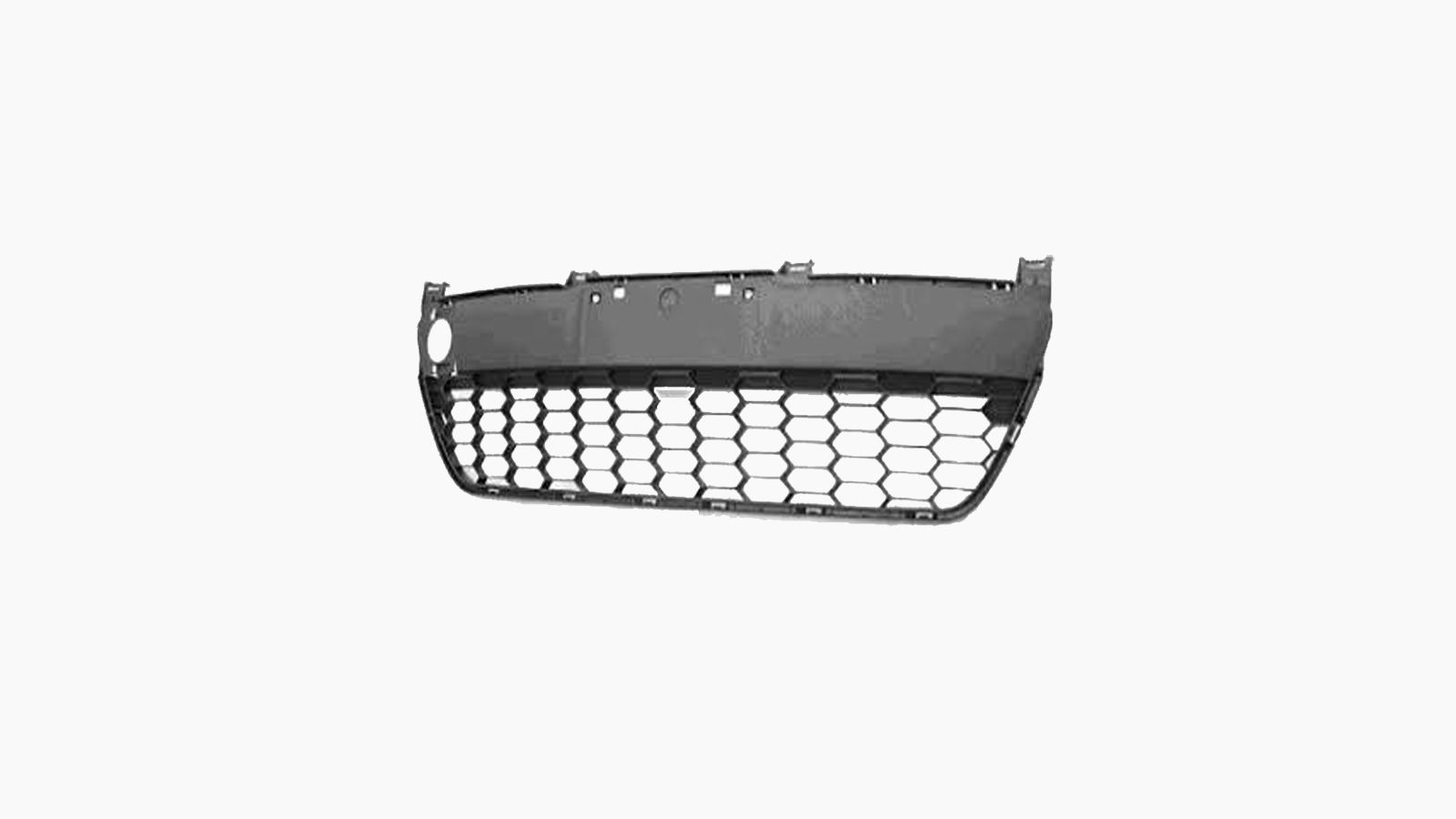 Bumpergrille