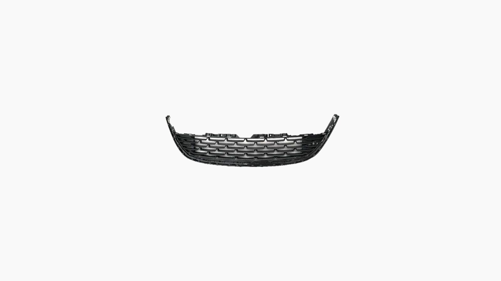 Bumpergrille