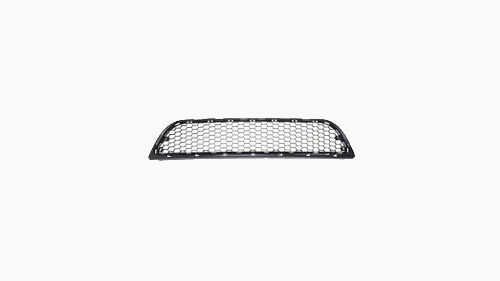 Bumpergrille