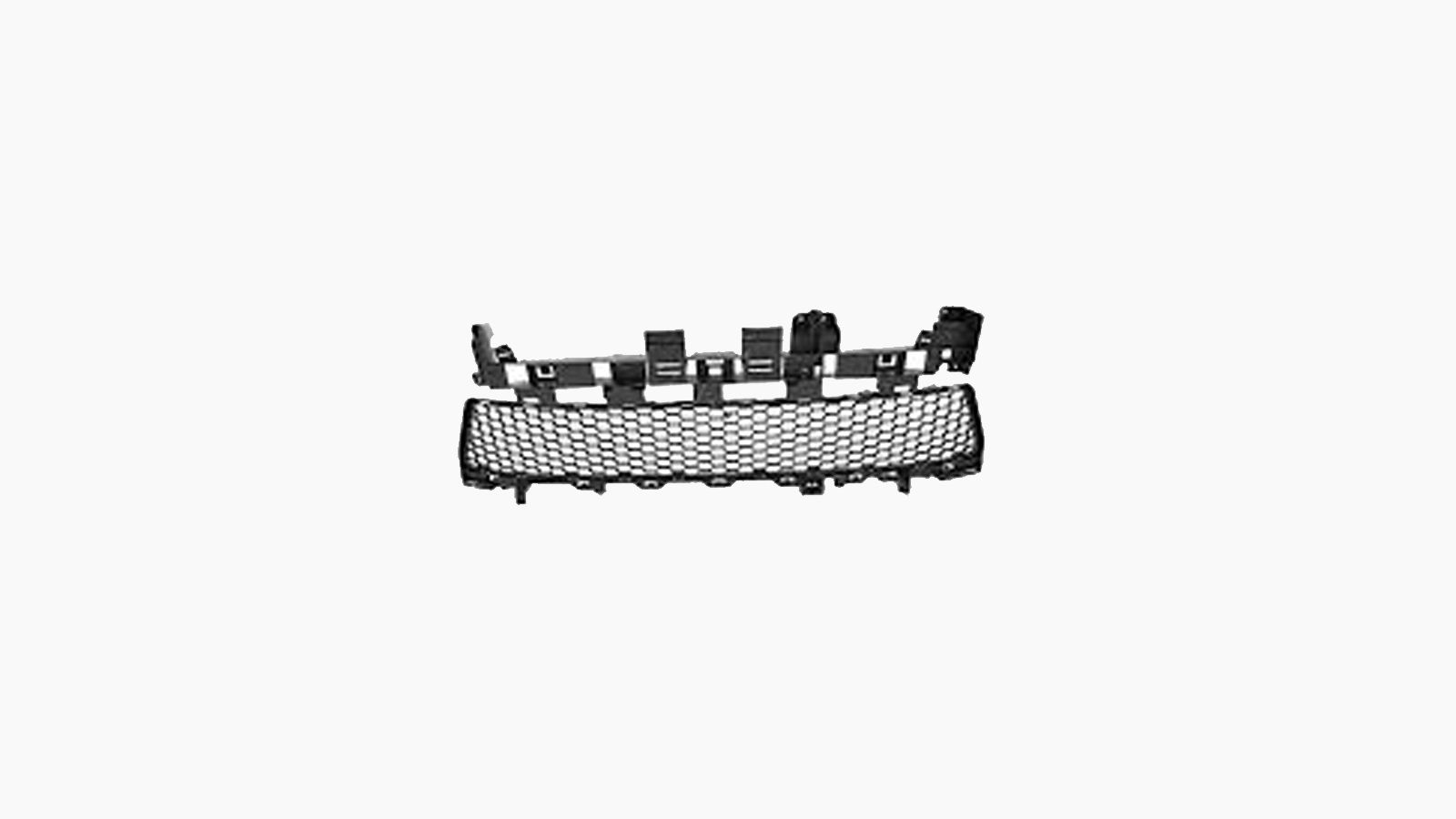 Bumpergrille