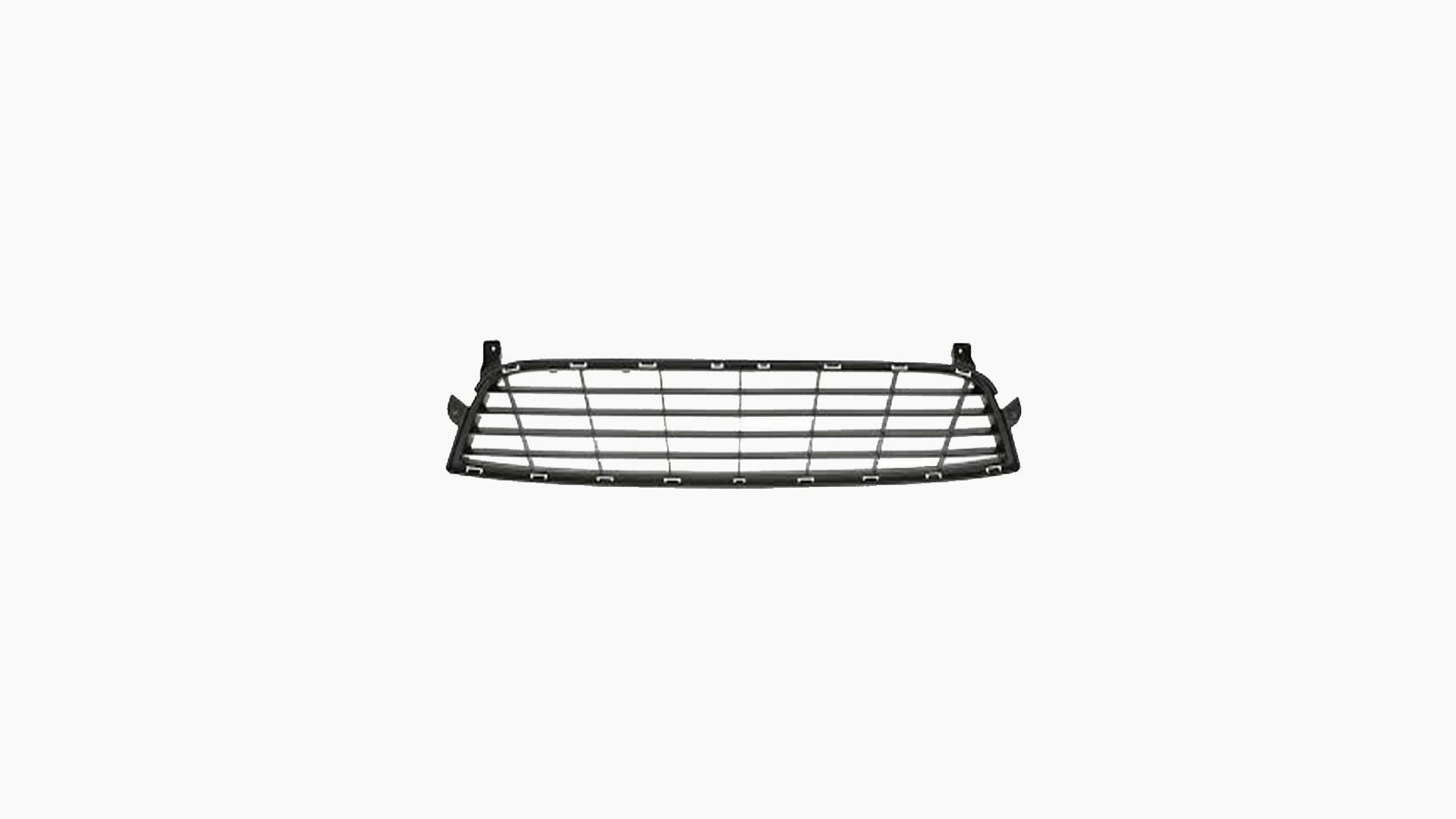Bumpergrille