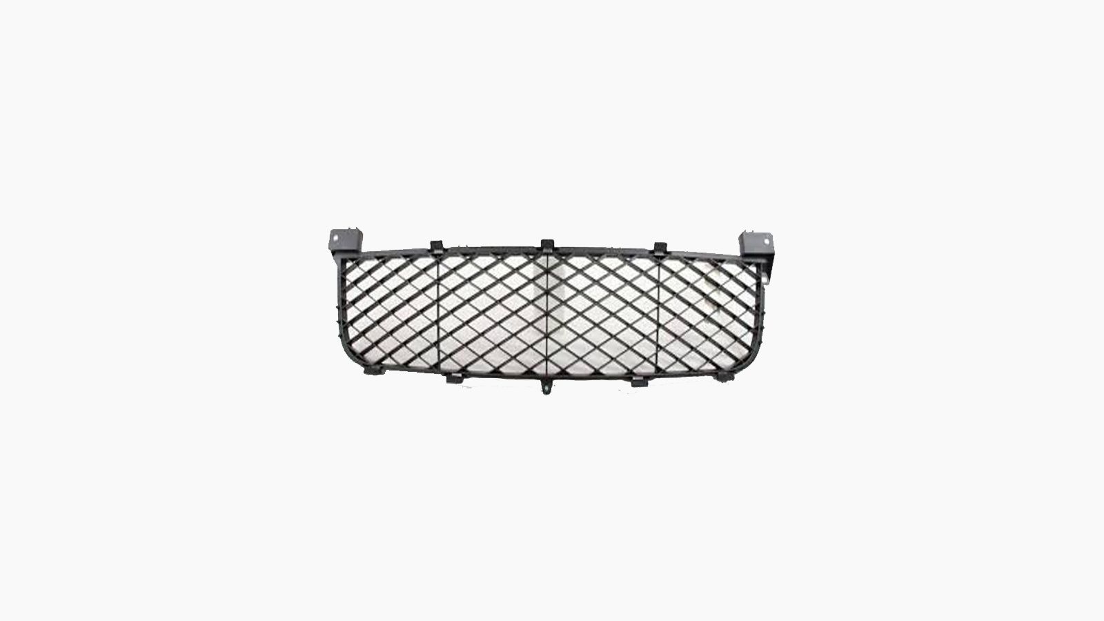 Bumpergrille