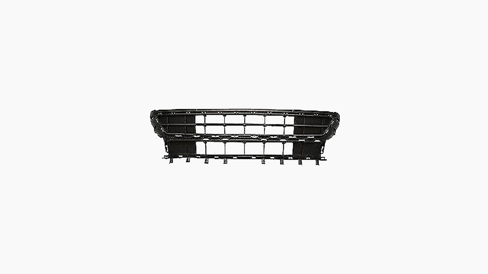 Bumpergrille