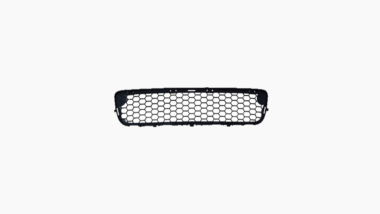 Bumpergrille