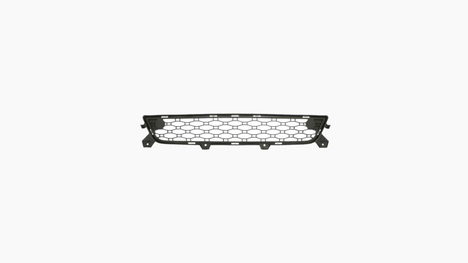 Bumpergrille