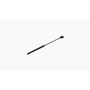 Achterklep gasveer voor Mini ONE/COOPER 2001-2006