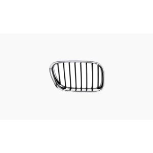 Griille voor BMW X5 E53 2000-2003