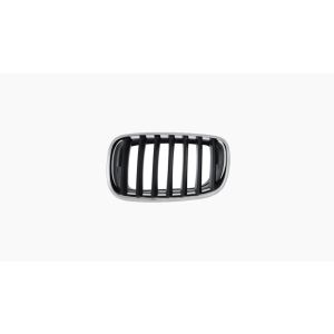 Griille voor BMW X5 / X6