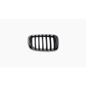 Griille voor BMW X5 / X6