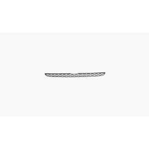 Griille voor BMW X5 E70 2006-2010