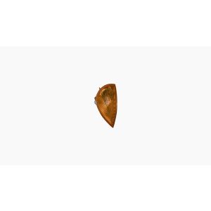 Clignoteur Compleet Oranje