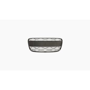 Bumpergrille
