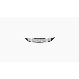 Bumpergrille