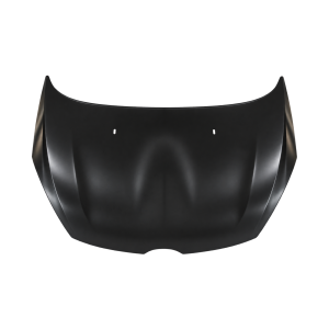Motorkap voor FORD FIESTA 6 2008-2012