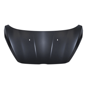 Motorkap voor FORD B-MAX 2012-2018
