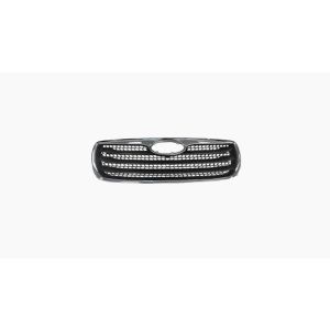 Grille Zwart Met Chromen Lijst
