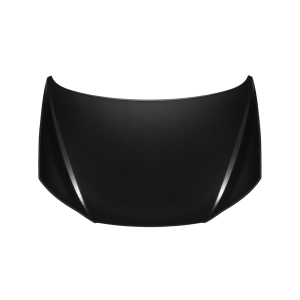 Motorkap voor HYUNDAI SANTA FE 2009-2012