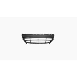 Bumpergrille / Gaten Voor Chromen Lijsten