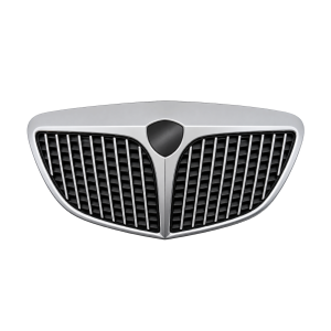 Grille voor LANCIA YPSILON 2003-2006