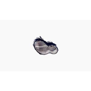 Koplamp voor MERCEDES C W203 2000-2004