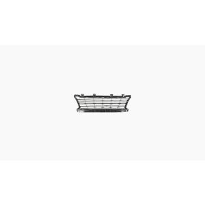 Bumpergrille Onder Grille Acces / Active / Style