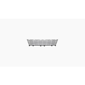Middengrille In Voorbumper (Binnen)