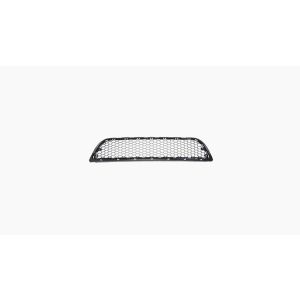 Bumpergrille