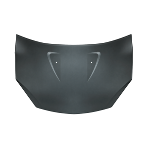 Motorkap voor DACIA SANDERO 2008-2012
