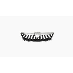 Grille Zwart Met Chromen Lijst